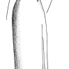 2003-dessin-de-mode-b.jpg