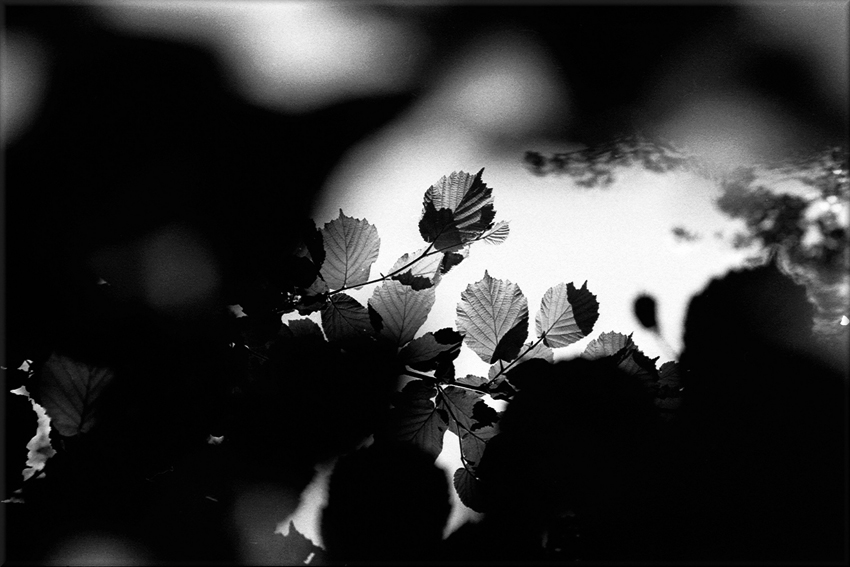 Le sentier des toblerones - photos en noir et blanc